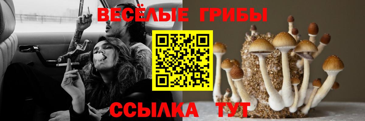 Псилоцибиновые грибы Psilocybine cubensis  Галлюциногенные грибы ЛСД  Вход с VPN  Лыткарино 